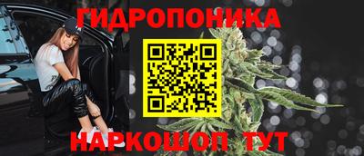 шишки Краснодар