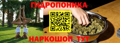 шишки Краснодар