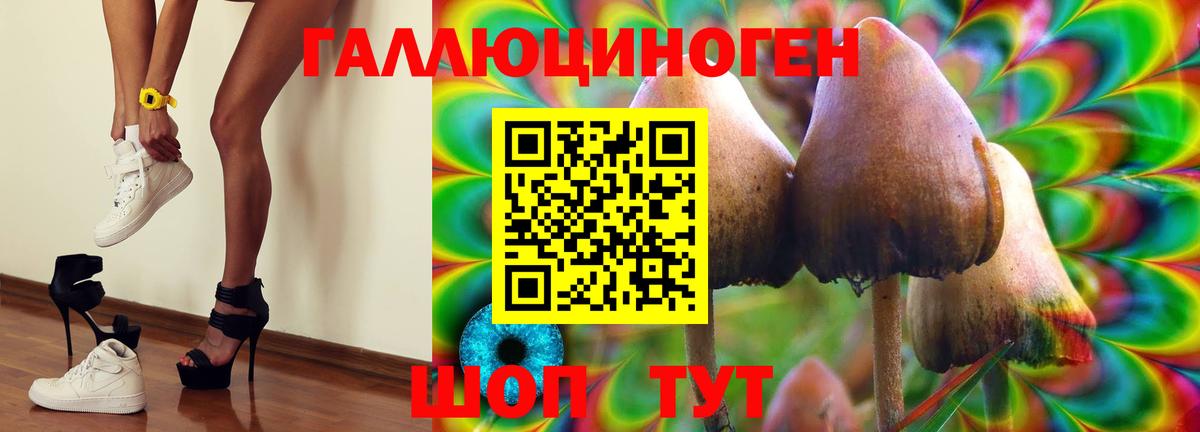 закладка  Галлюциногенные грибы прущие грибы  Вход с VPN  Чистополь  Галлюциногенные грибы мухоморы 